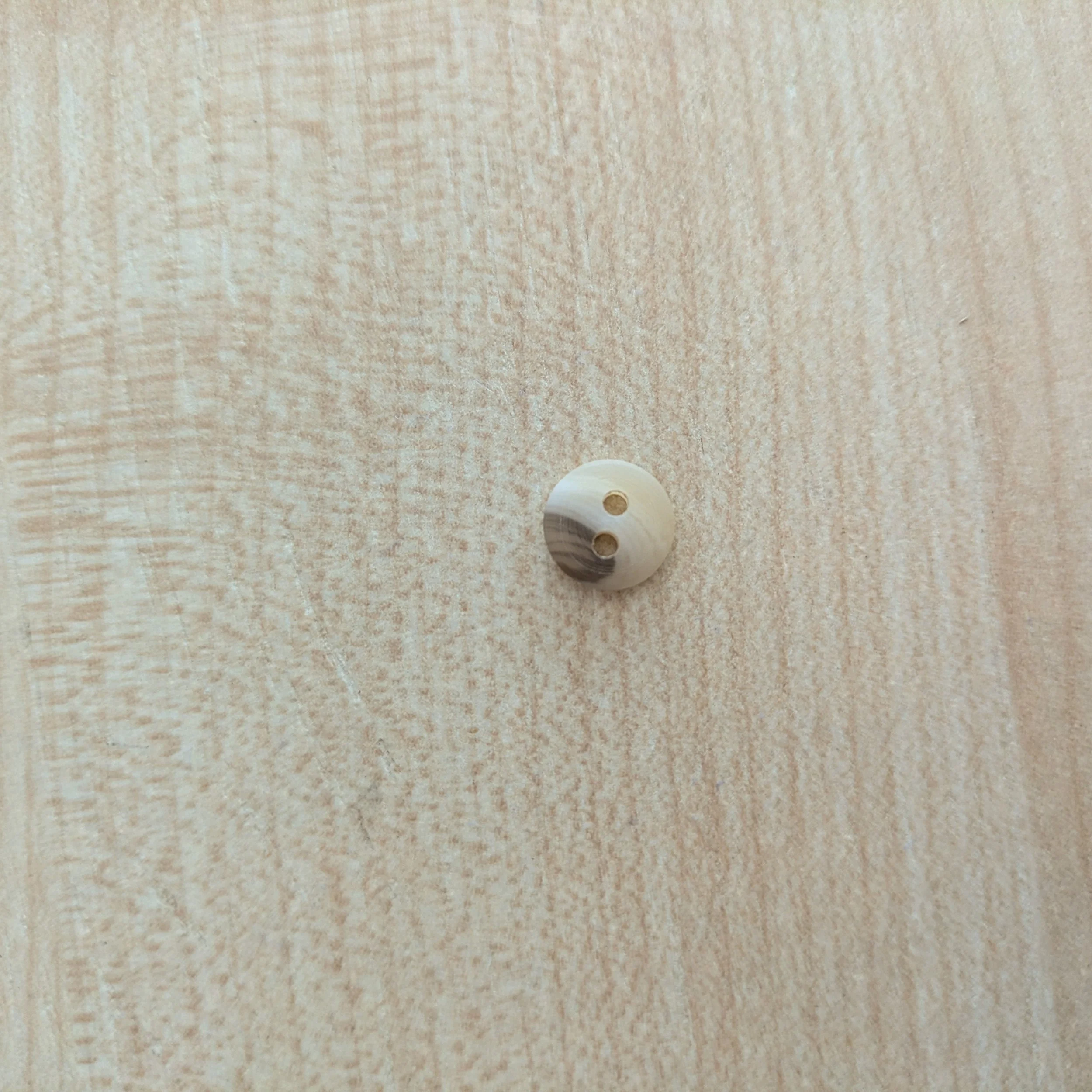 PXL_20260224_095925431.jpg (copie)