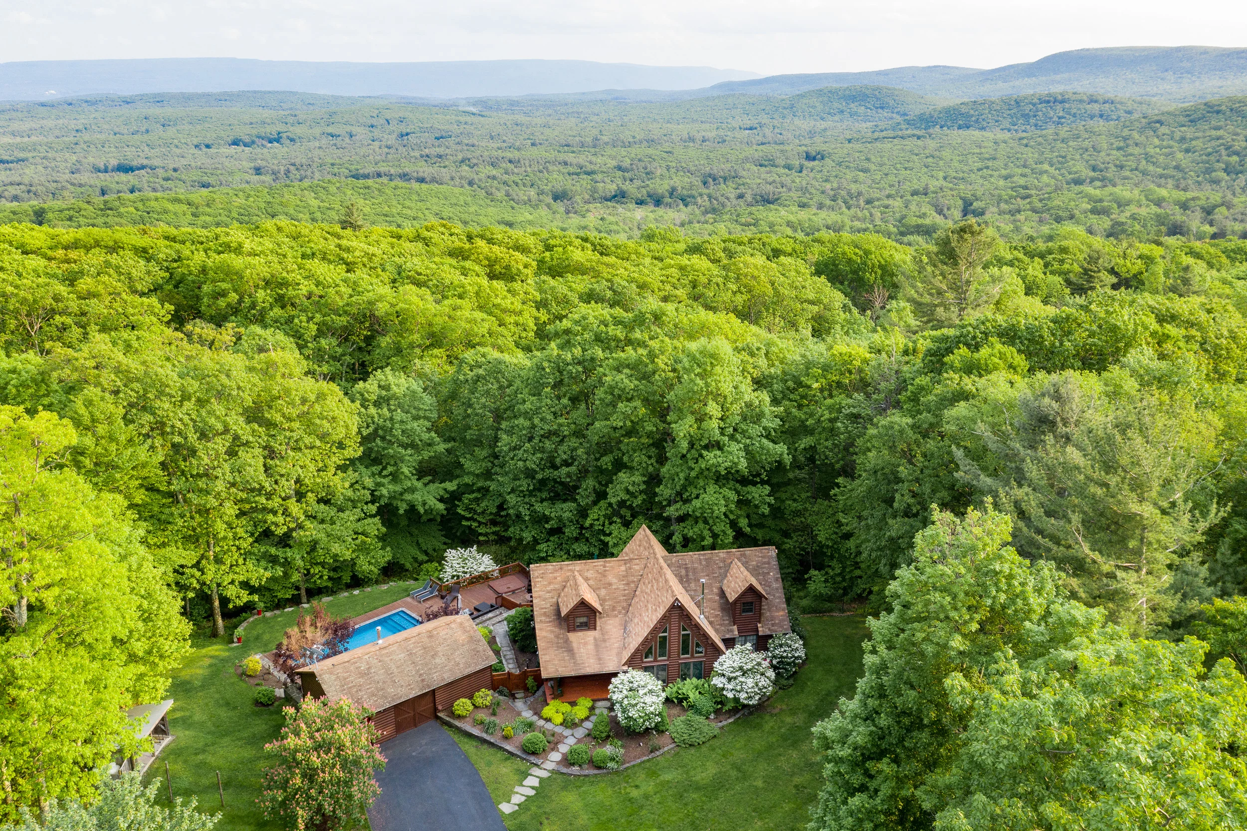 AsterZillow2500px-32.jpg