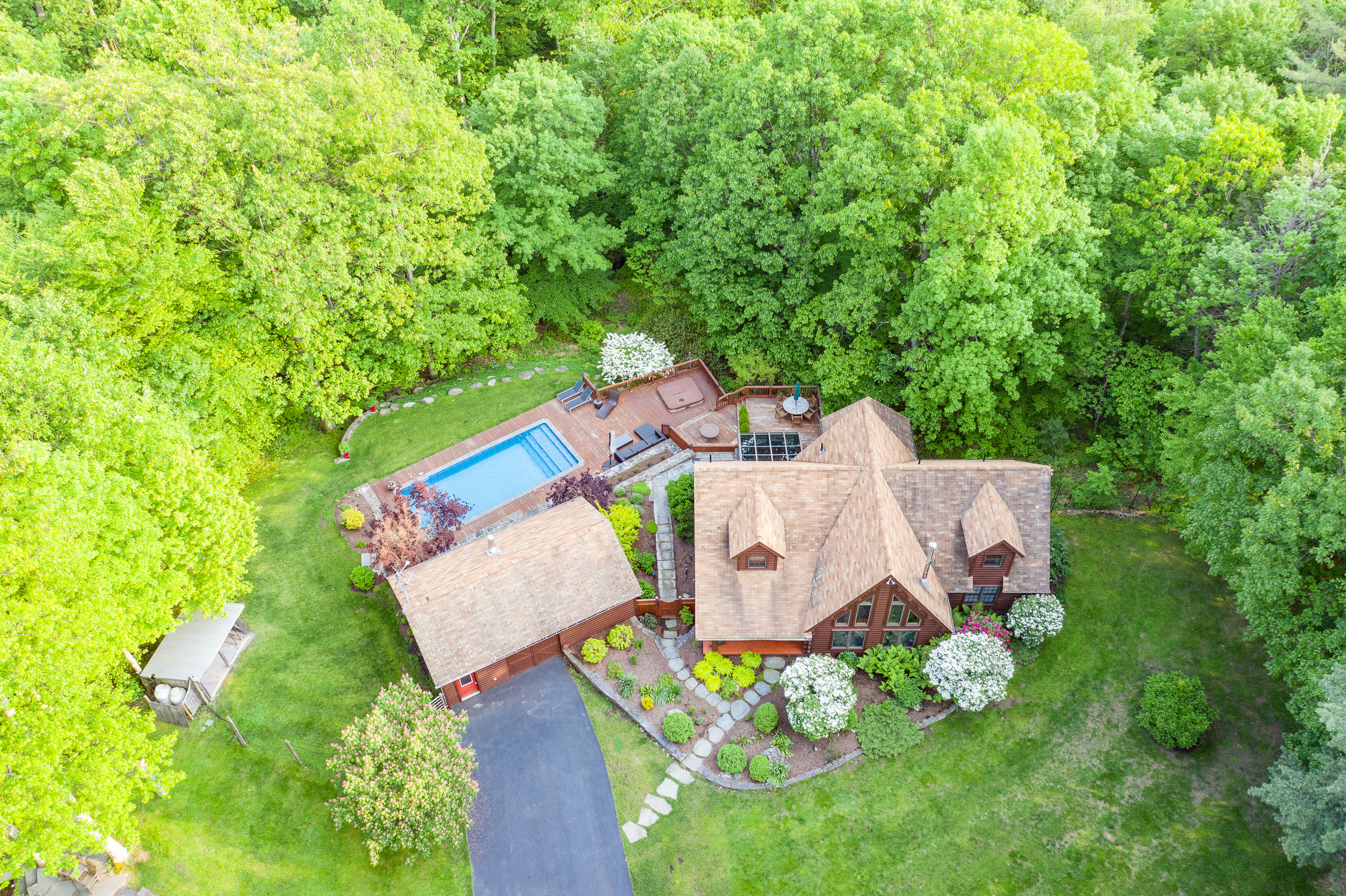 AsterZillow2500px-33.jpg