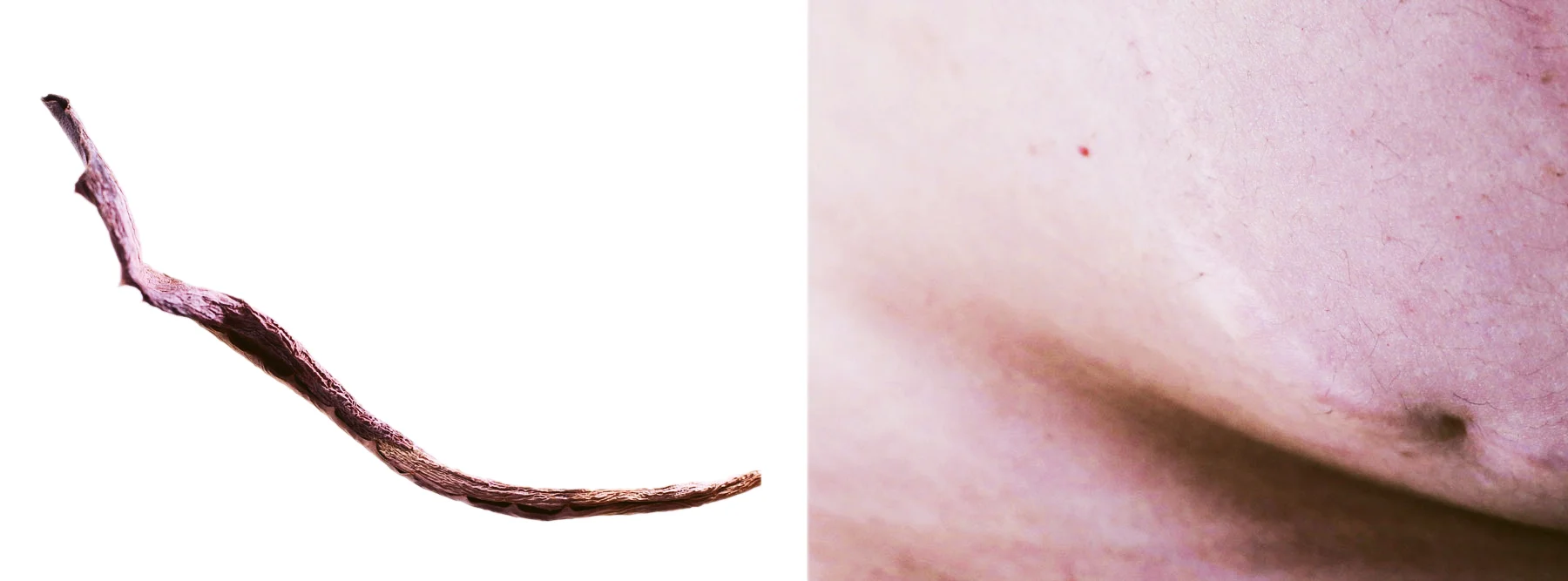 17-copy.jpg