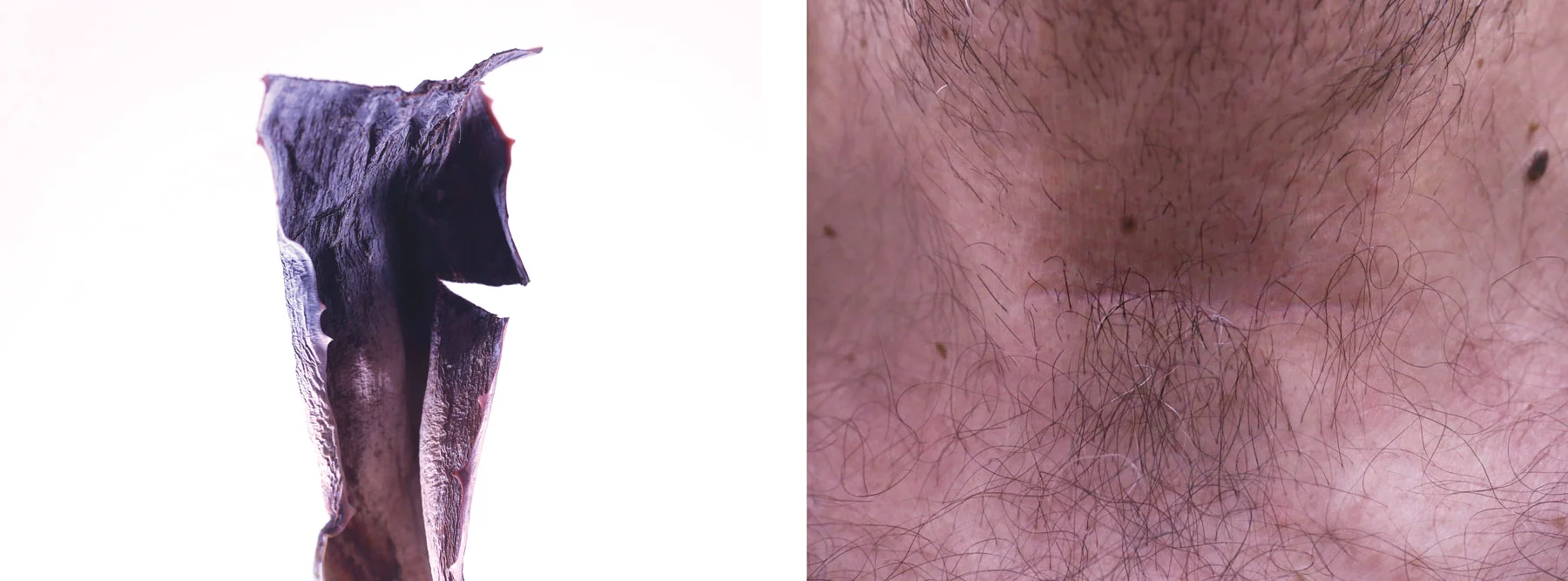 18-copy.jpg