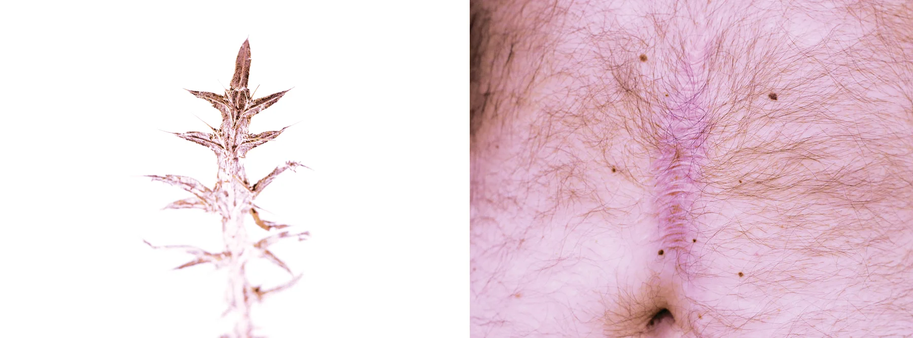 20-copy.jpg