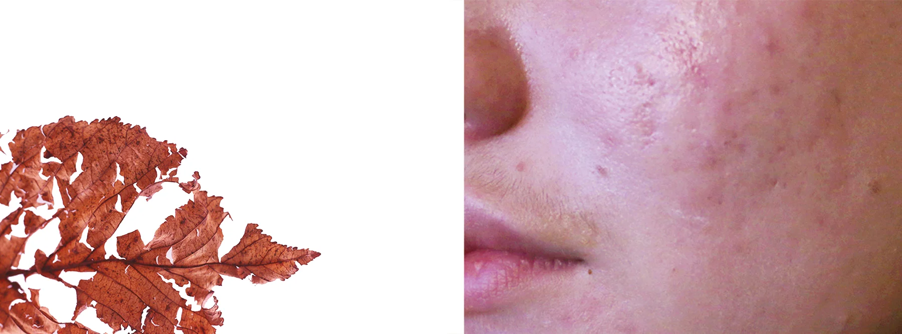 23-copy.jpg