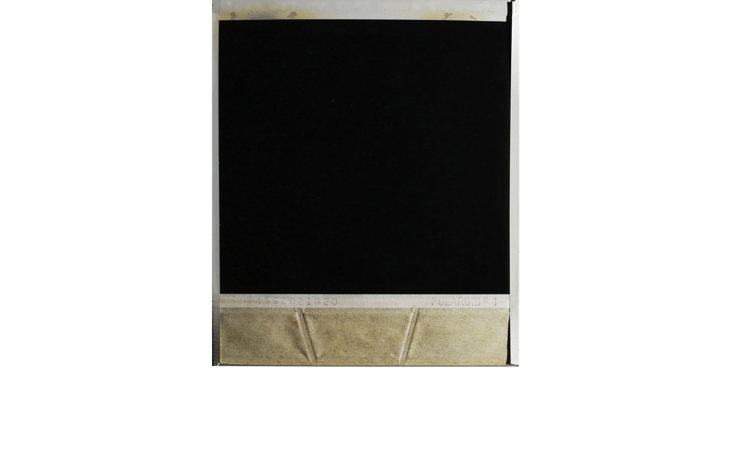 polaroid.jpg