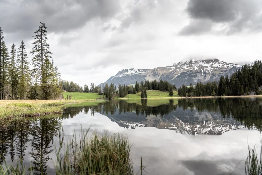 Lauenensee_ID24589_Gstaad Tourism.jpg