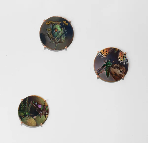 Kevin King: Fall of a Sparrow, Installation View at Jason McCoy Gallery, 2015.