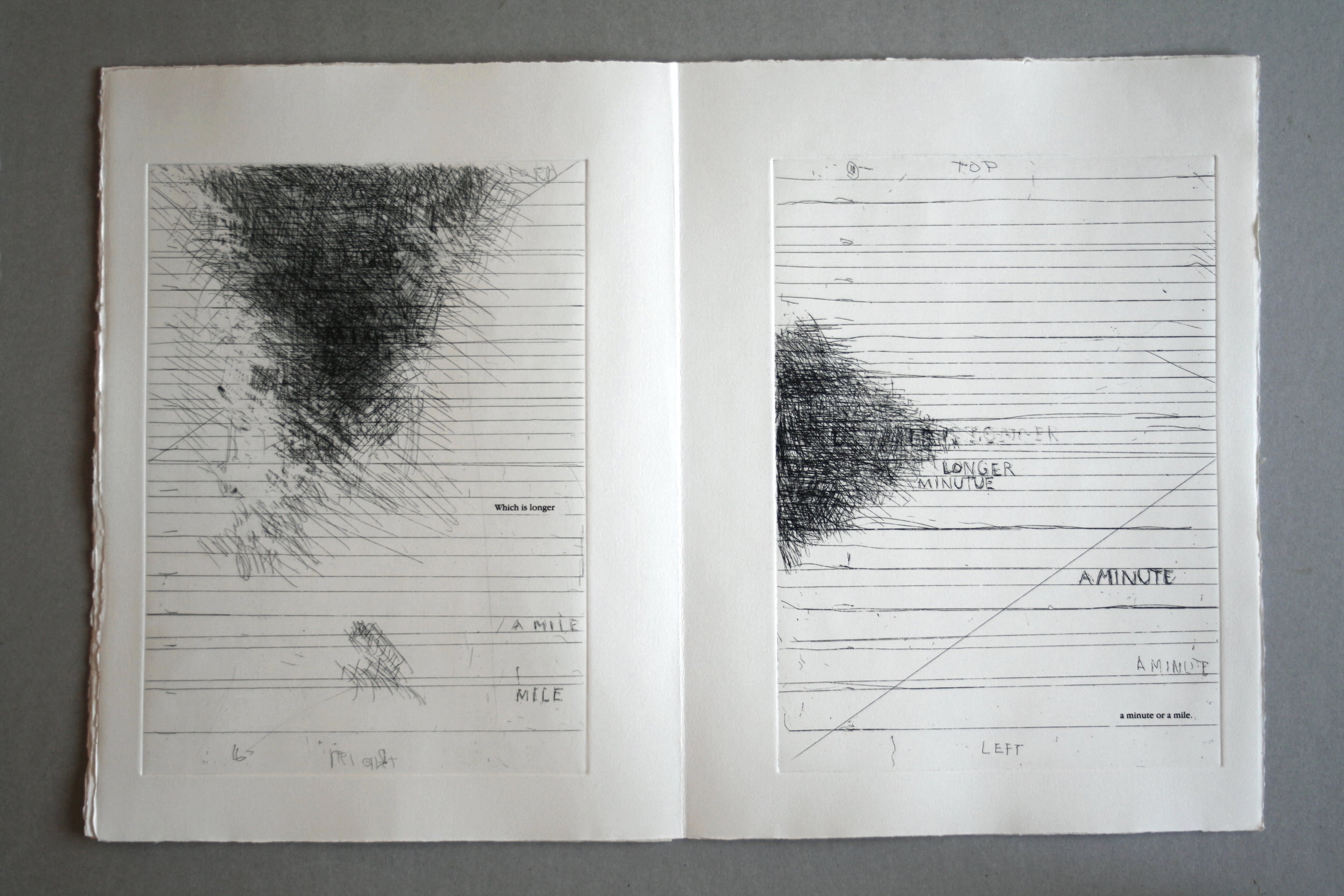   MEMORY Seventeen etchings by PAT STEIR Unpublished texts of I.P. SUKONECK , 2015 Artist Book 16 x 11 x 1/2 inches (40.6 x 27.9 x 1.3 cm) Wood case: 17 1/8 x 11 3/4 x 1 1/2 inches (43.5 x 29.8 x 3.8 cm) Edition : 44/50 Edizioni Canopo Edition of 50.