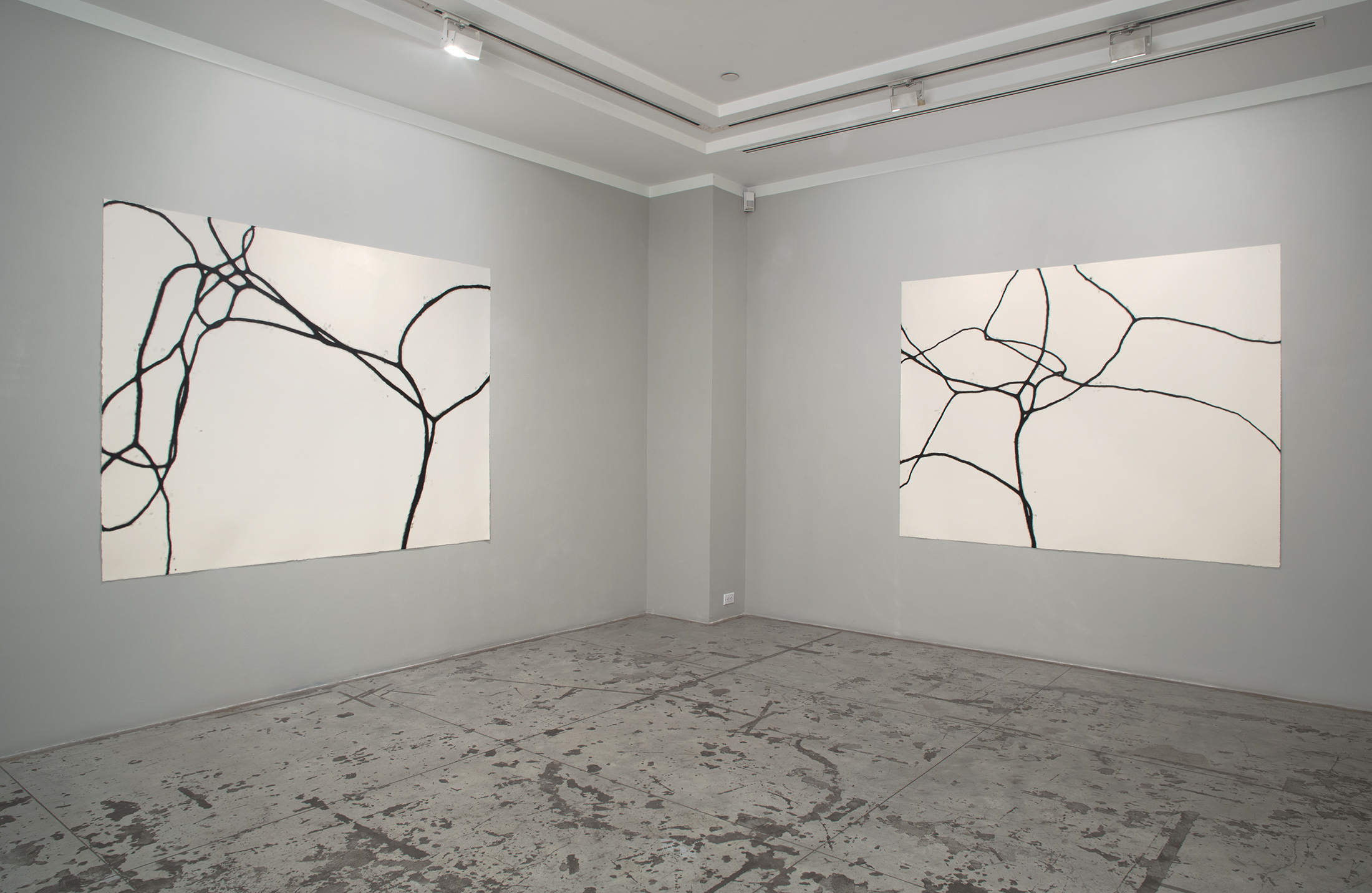 Christiane Löhr: diffuse , Installation view at Jason McCoy Gallery, 2018.