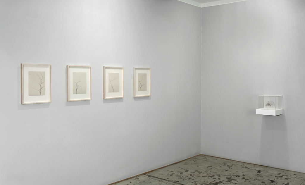 Christiane Löhr: displuvio , Installation view, Jason McCoy Gallery, 2015.