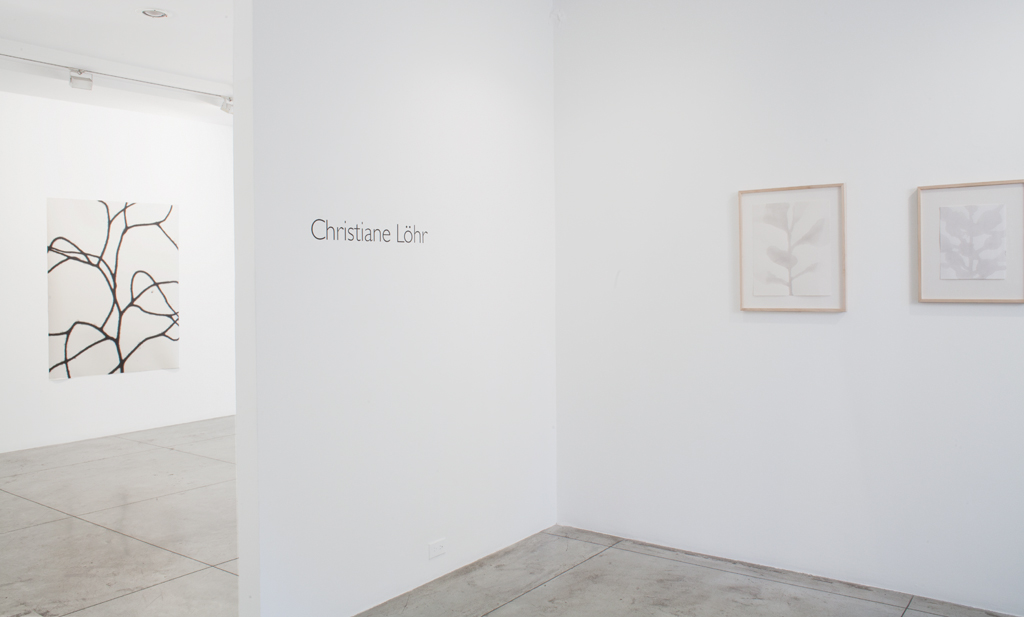 Christiane Löhr , Installation view at Jason McCoy Gallery, 2013.