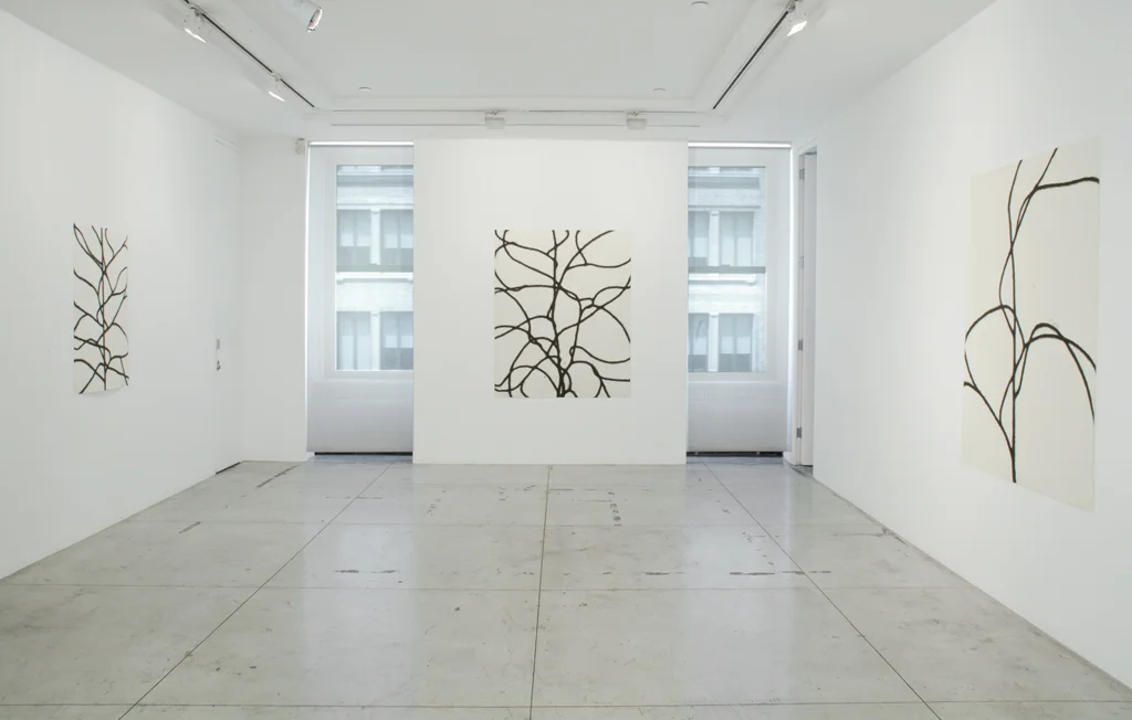 Christiane Löhr , Installation view at Jason McCoy Gallery, 2013.