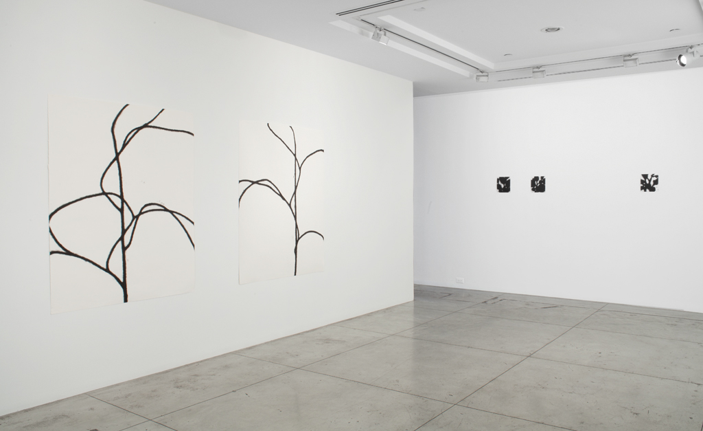 Christiane Löhr , Installation view at Jason McCoy Gallery, 2013.