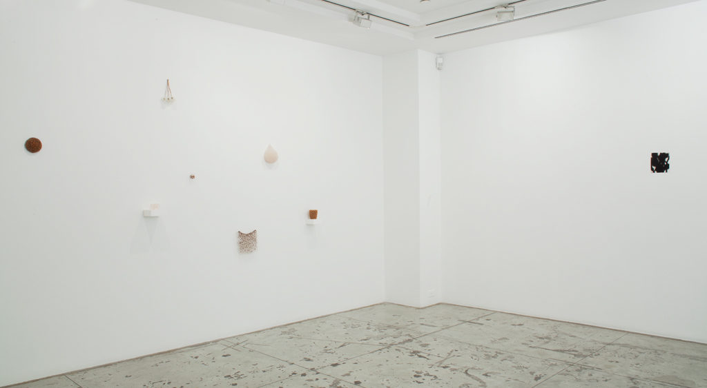 Christiane Löhr , Installation view at Jason McCoy Gallery, 2013.