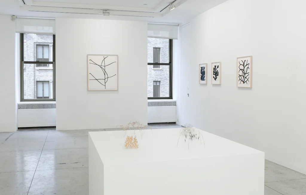 Christiane Löhr , Installation View at Jason McCoy Gallery, 2012.