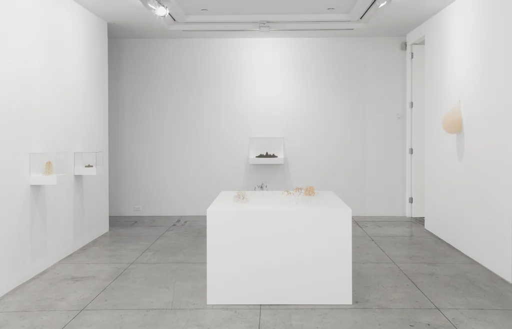 Christiane Löhr , Installation View at Jason McCoy Gallery, 2012.