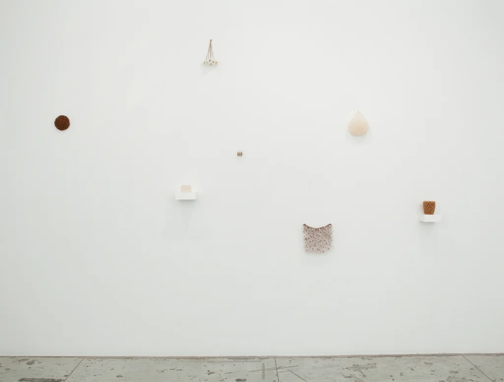 Christiane Löhr, Installation view at Jason McCoy Gallery, 2013.