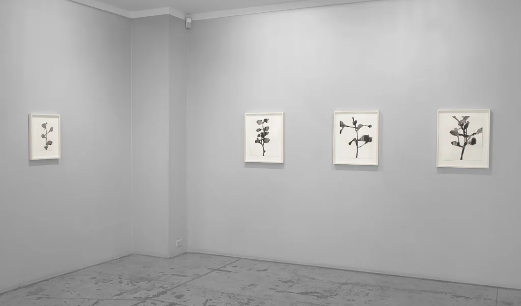 Christiane Löhr: displuvio, Installation view at Jason McCoy Gallery, 2015.