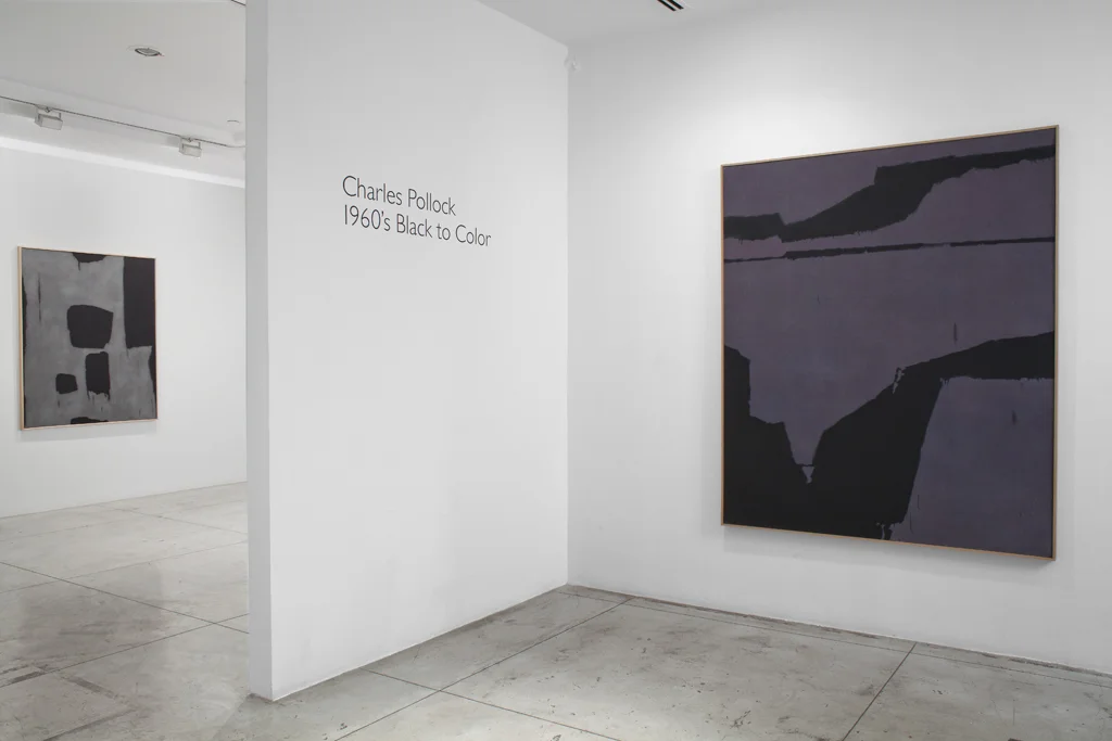 Charles Pollock: Black to Color, Installation view at Jason McCoy Gallery, 2015.