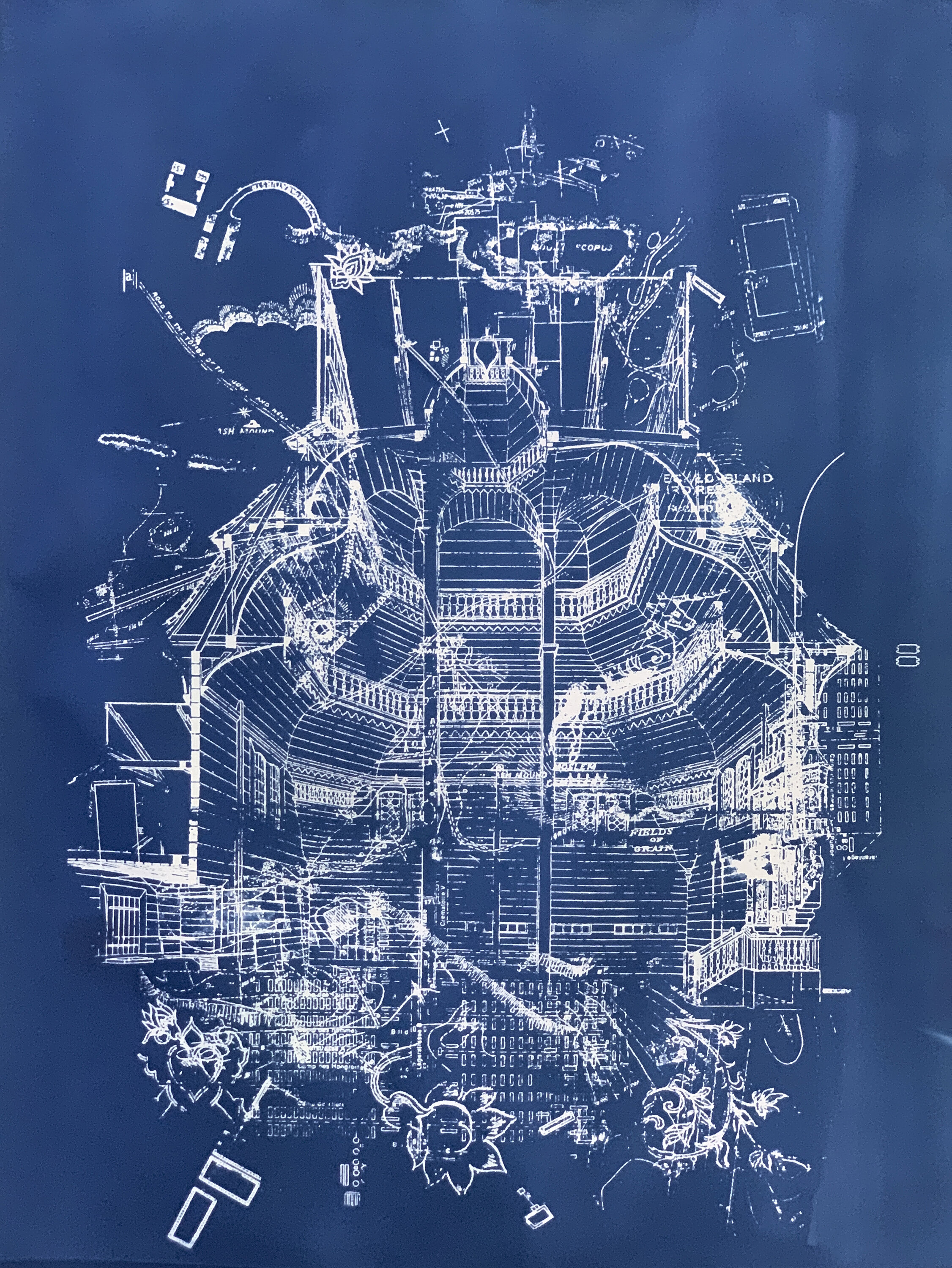  Maya Ciarrocchi  This Place Has a Body , 2020   Cyanotype on Paper   30 x 22 inches   Ed. 1/3, 2 AP’s  