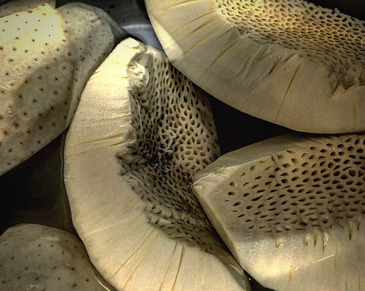 Fresh Jamaican breadfruit used to make nutritious foods