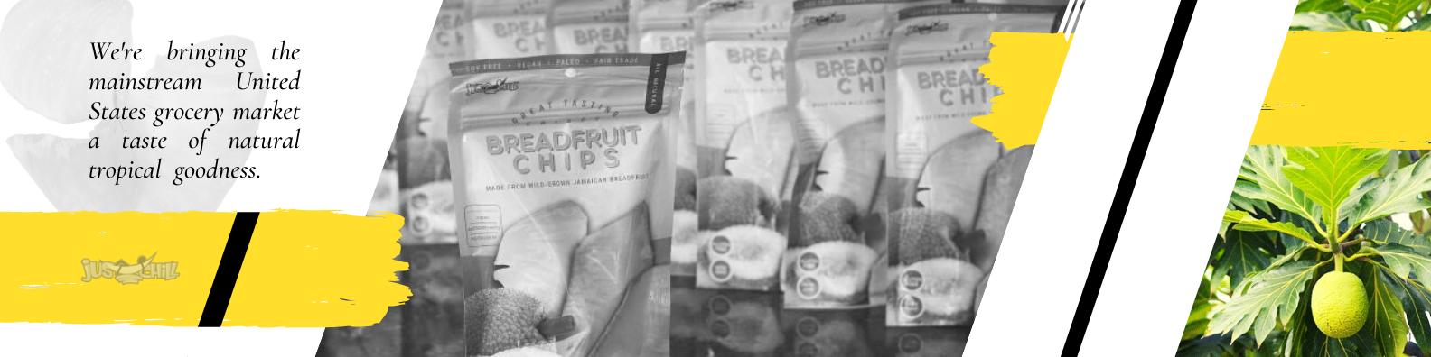 Jus Chill Jamaican breadfruit snacks and baking mixes
