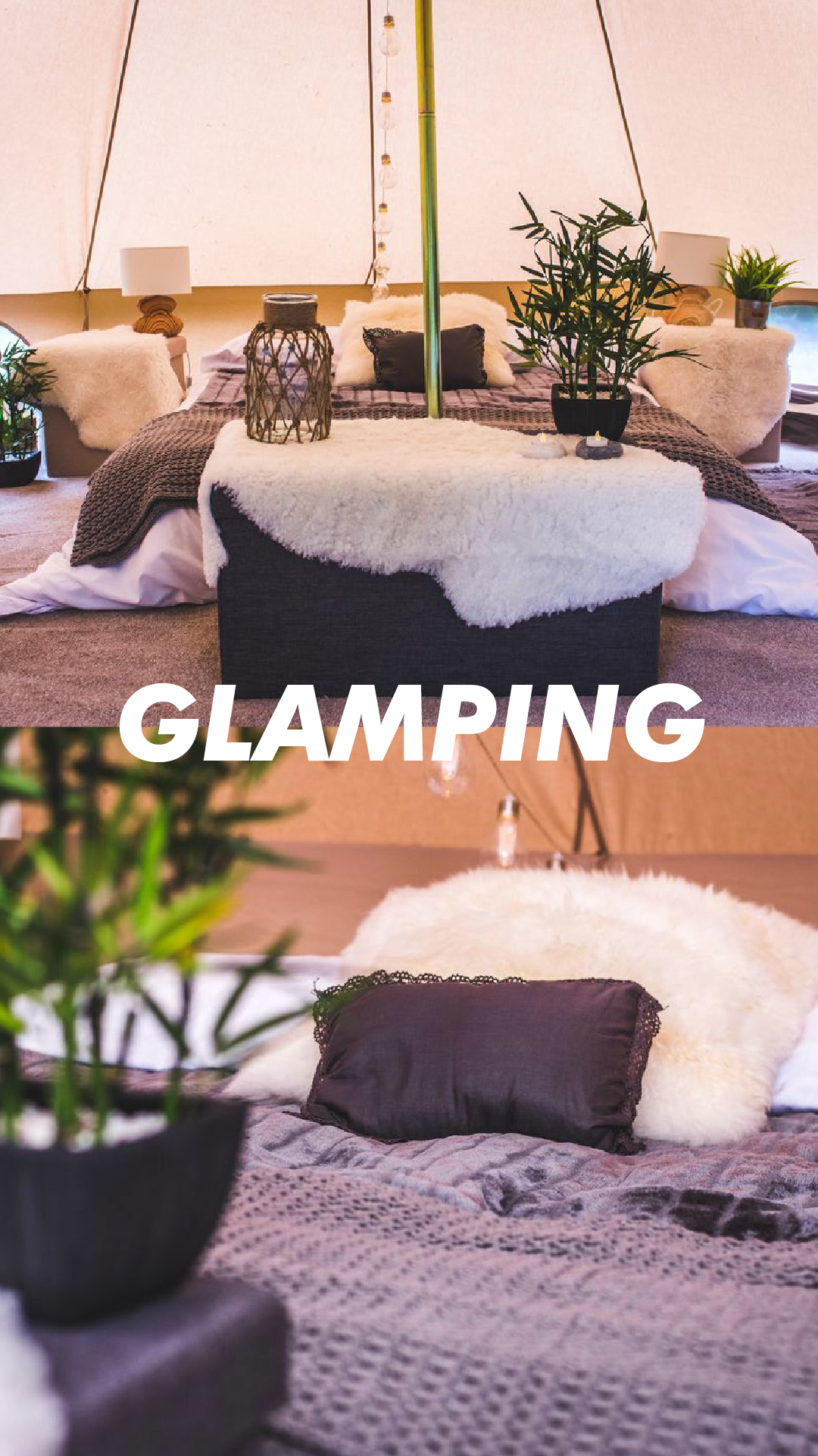 glamping.png