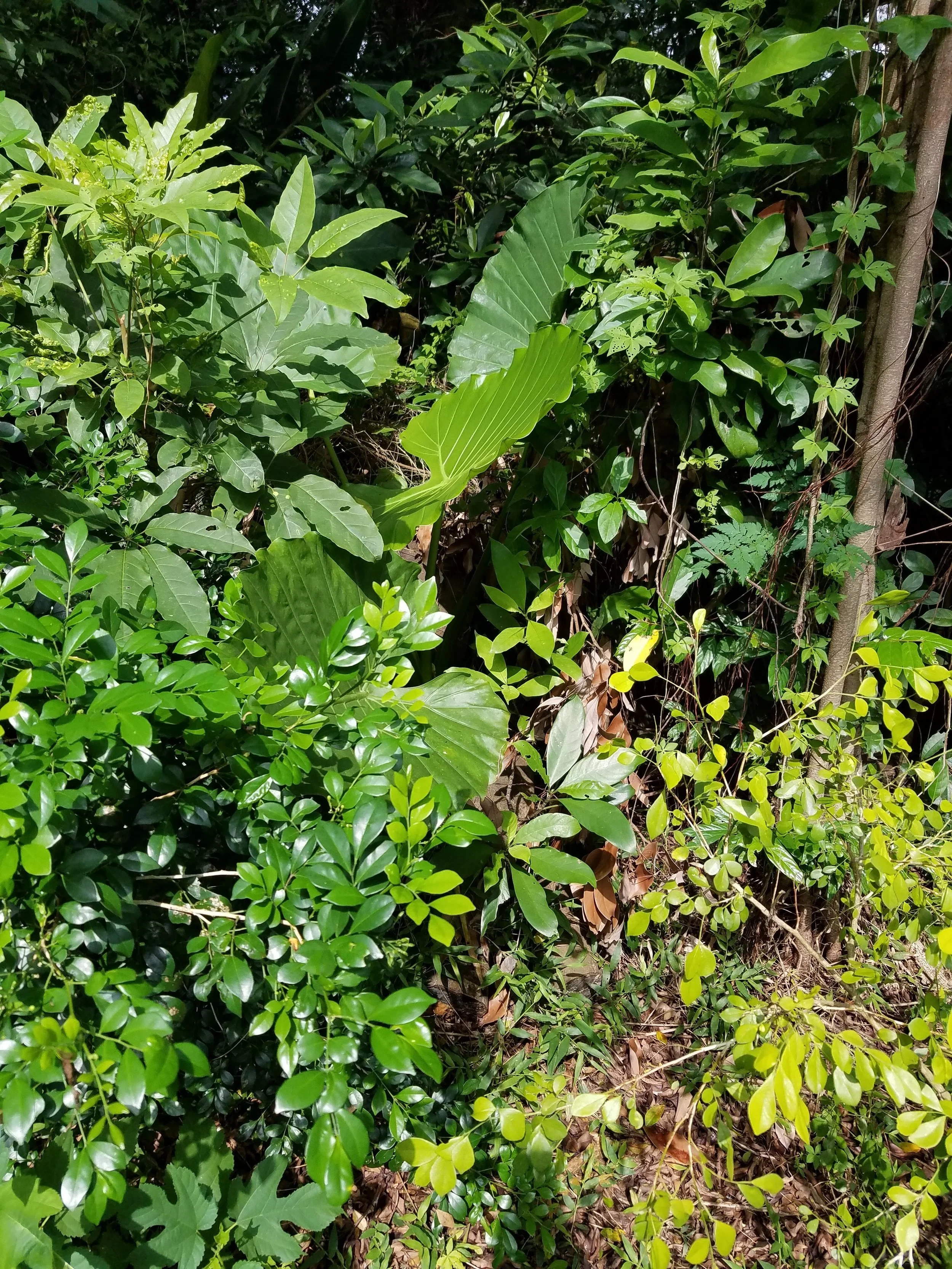 20171021_214717.jpg