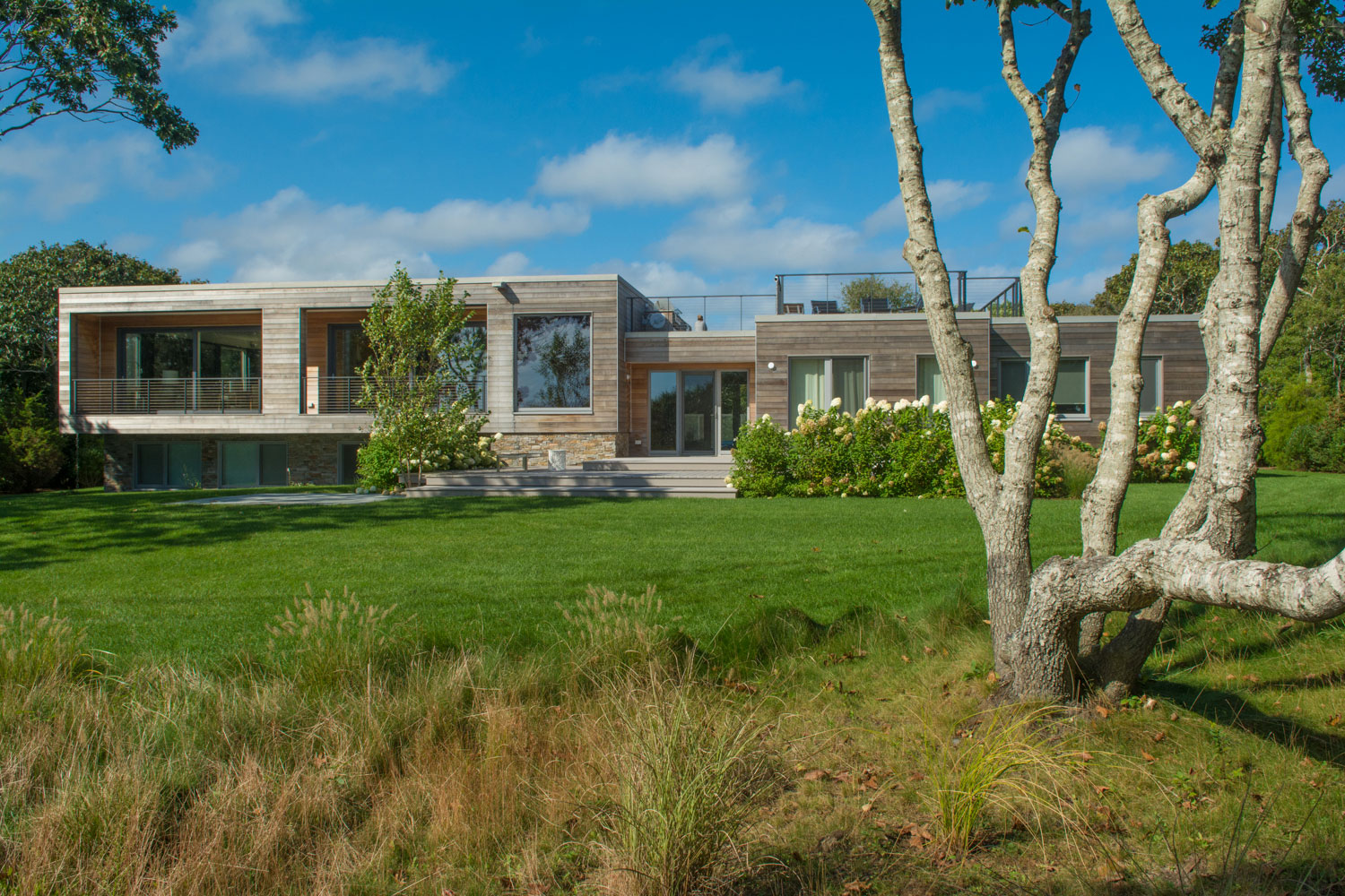 Beach house exterior with mature tree