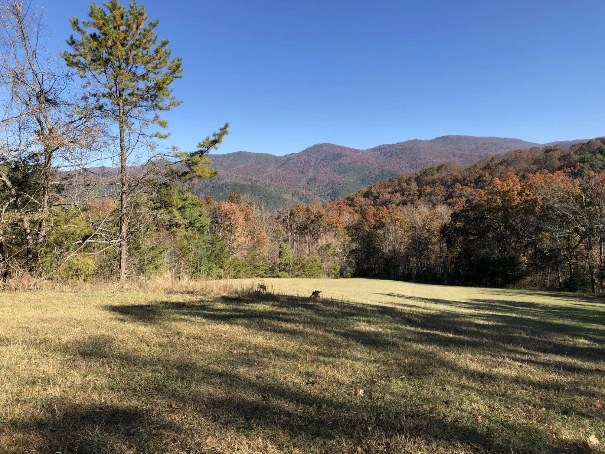 A scenic view of a mountain landscape with fall foliage, a grassy field in the foreground, and a clear blue sky.