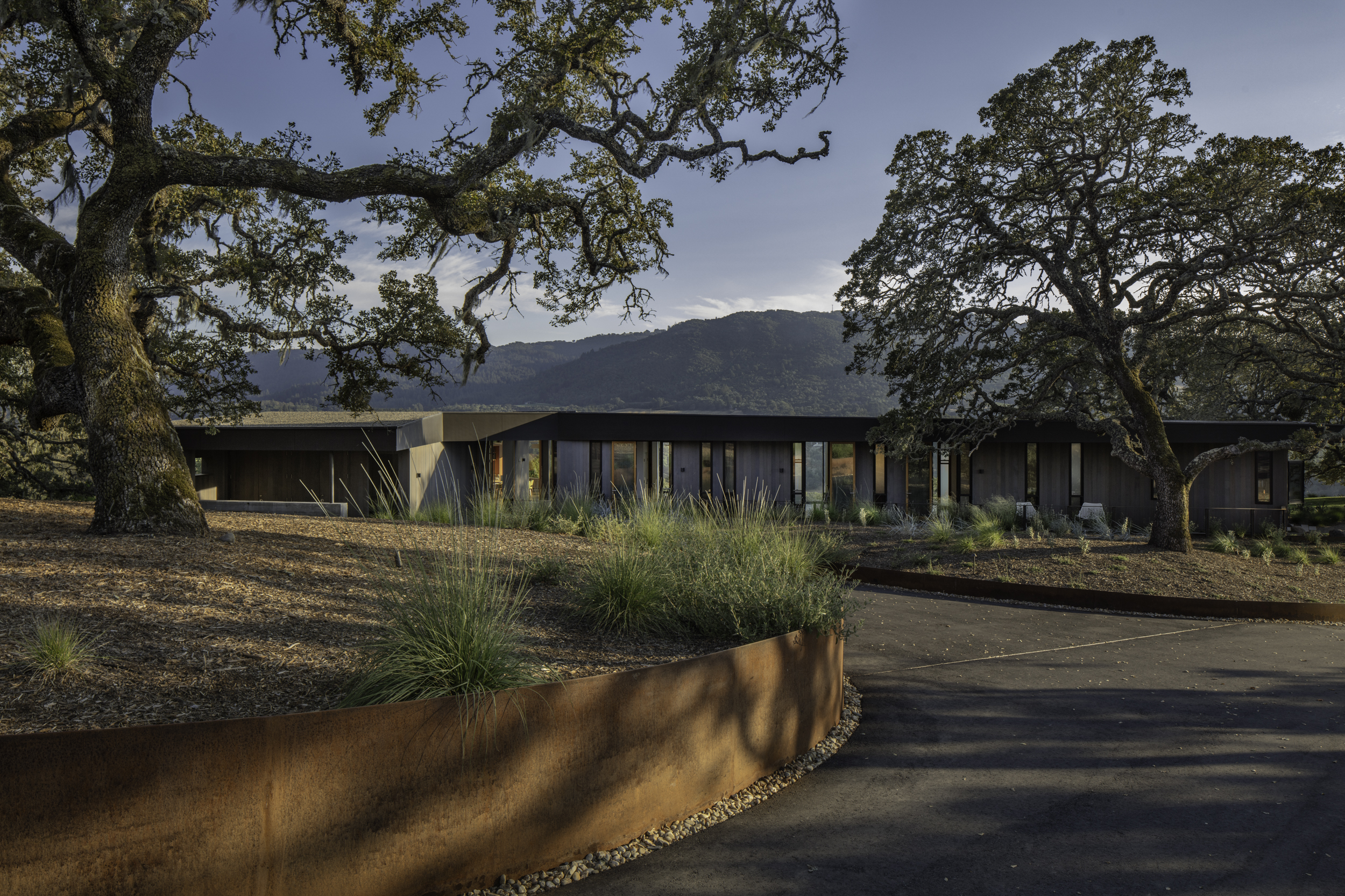 Driveway View.jpg