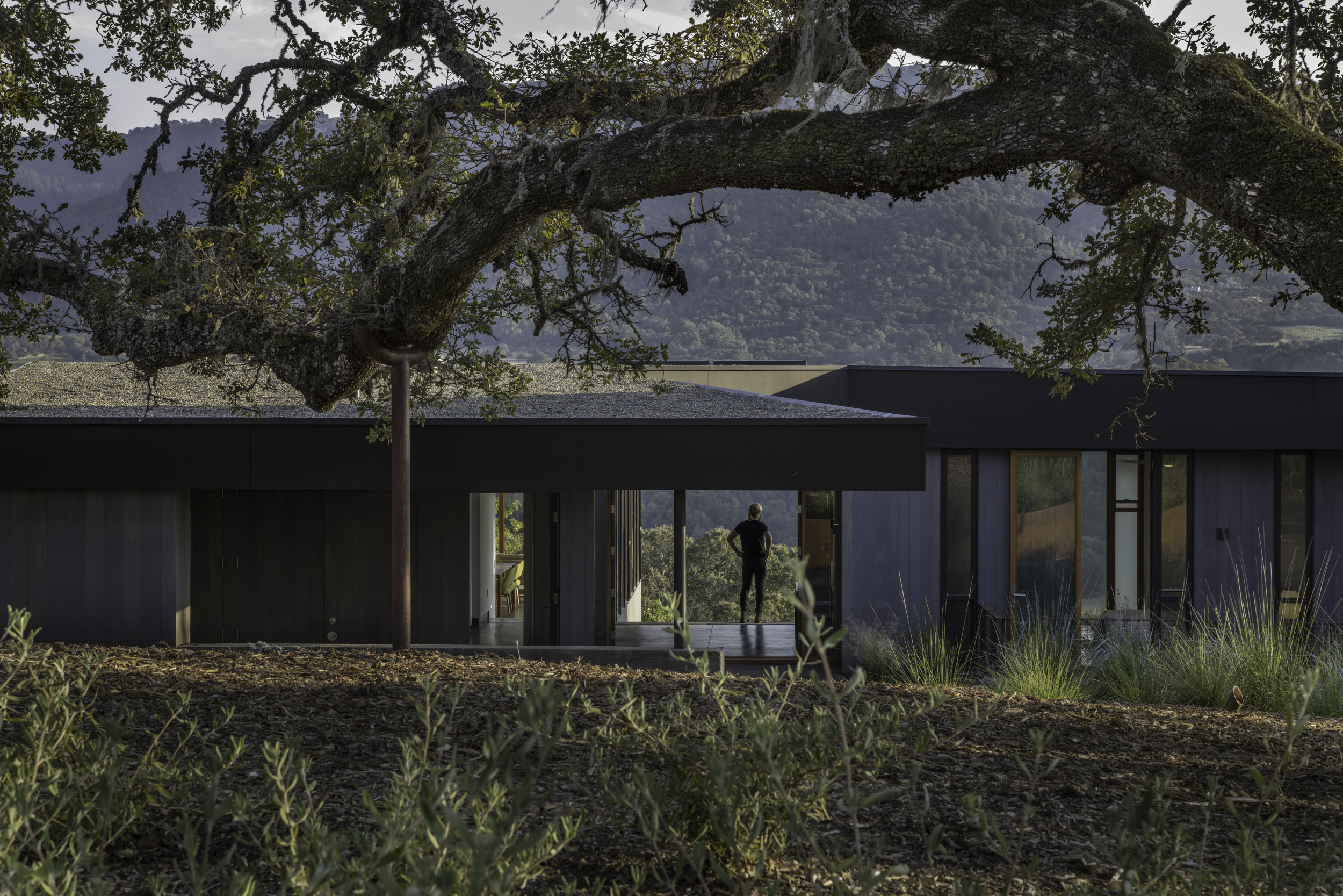 Front Exterior Through Tree.jpg