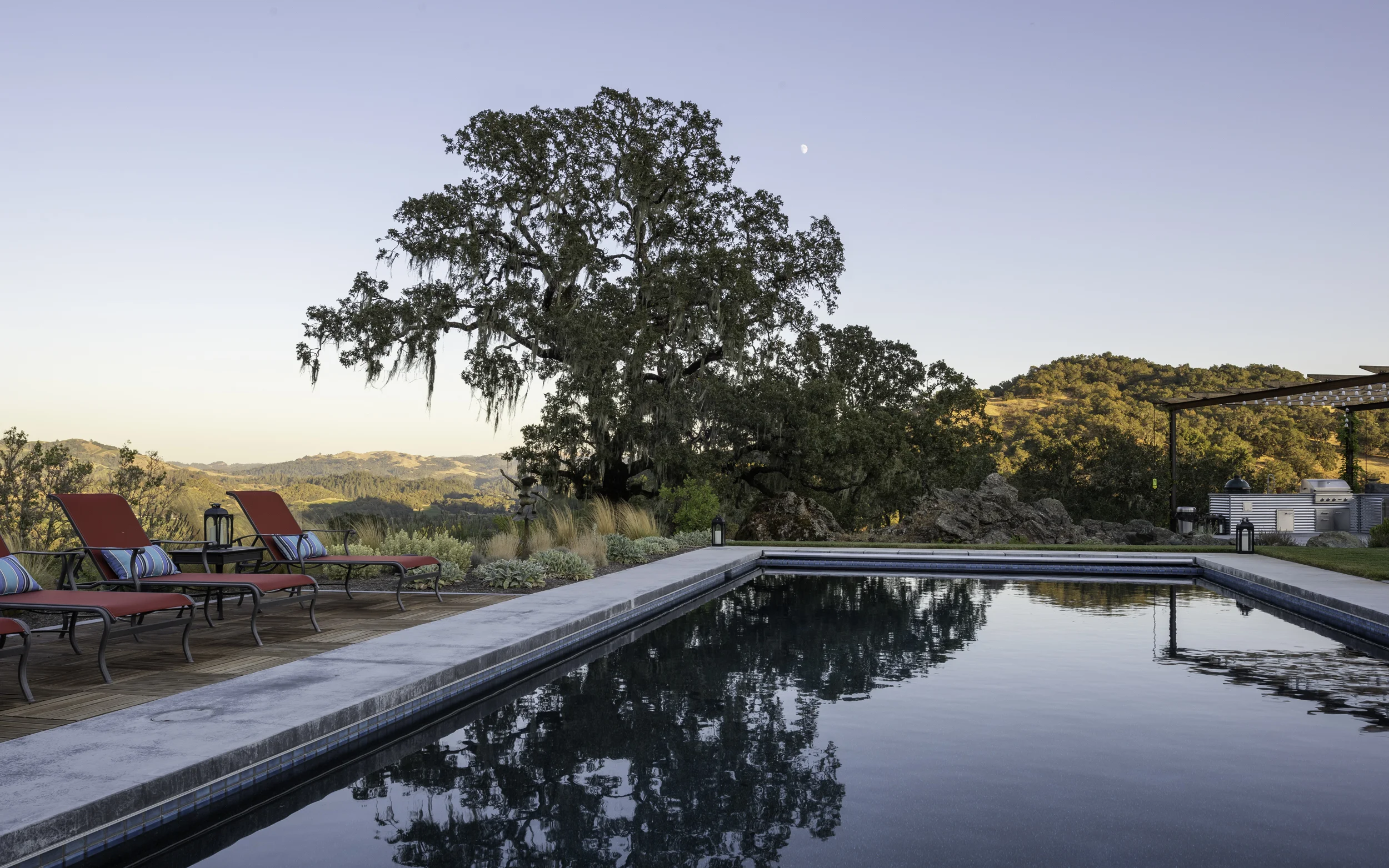 Oak Reflection_.jpg