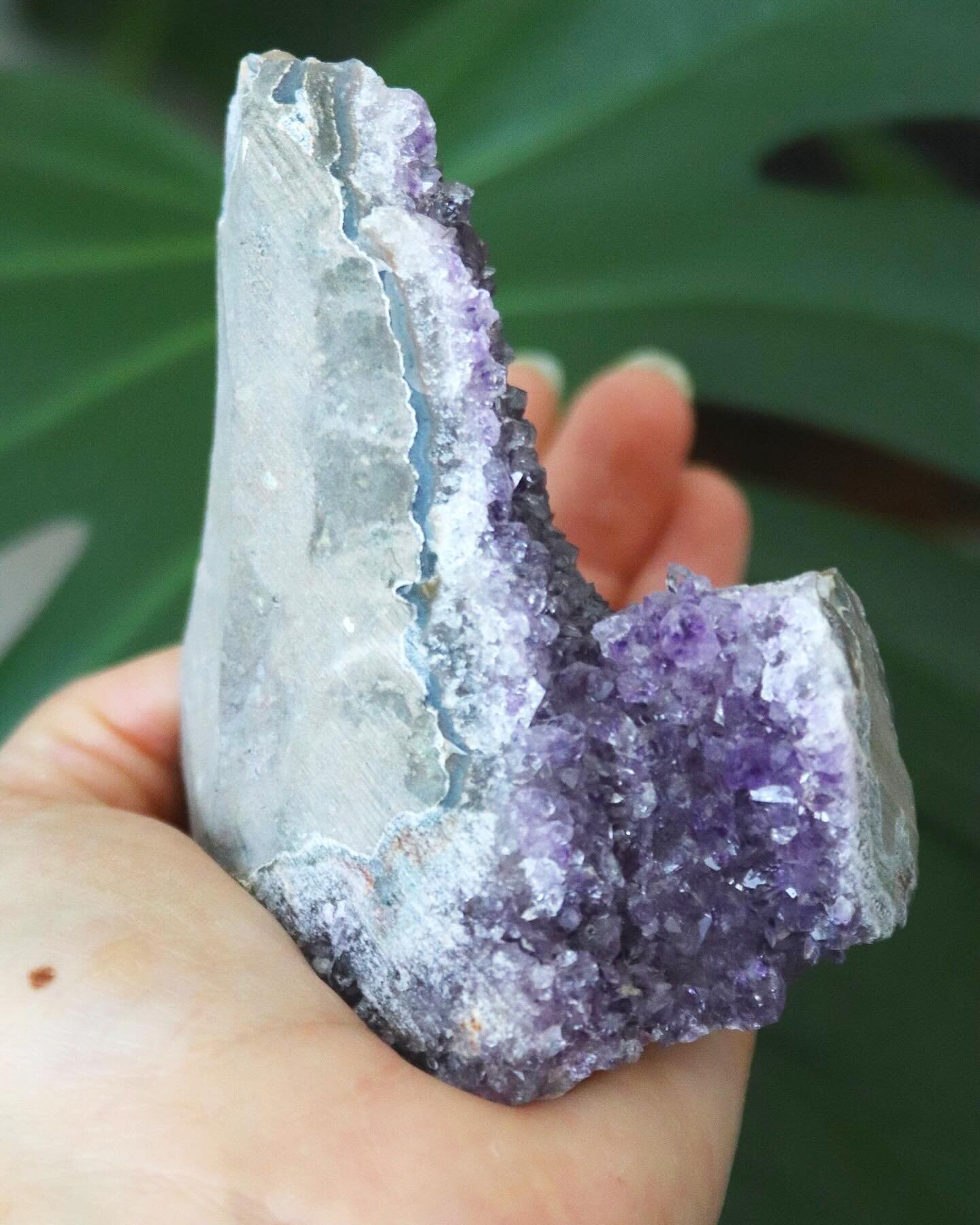 I&rsquo;ve added some beautiful raw amethyst pieces to the shop. Amethyst&rsquo;s calming presence can bring restful sleep or focused intuitive clarity to the holder. It is an all purpose crystal, both powerful and protective. ✨💜 link in bio!
.
.
.
