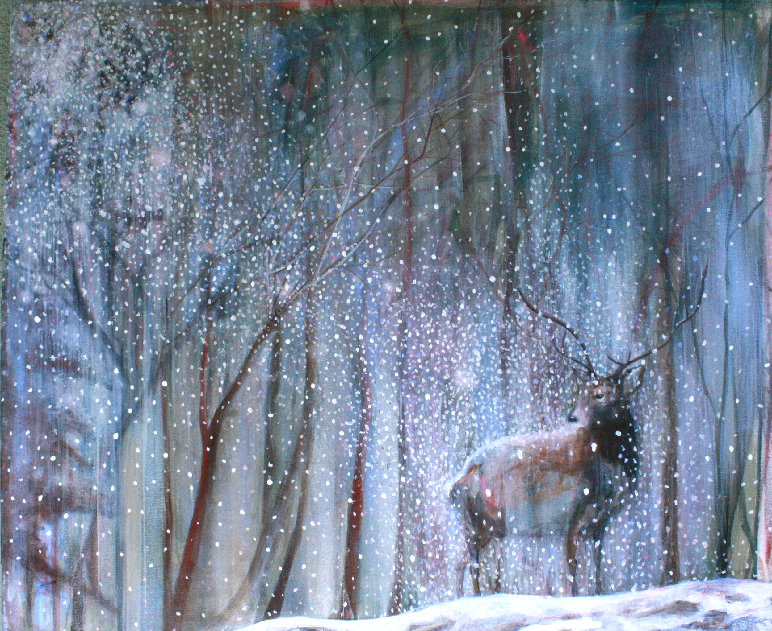 Deer In Snow