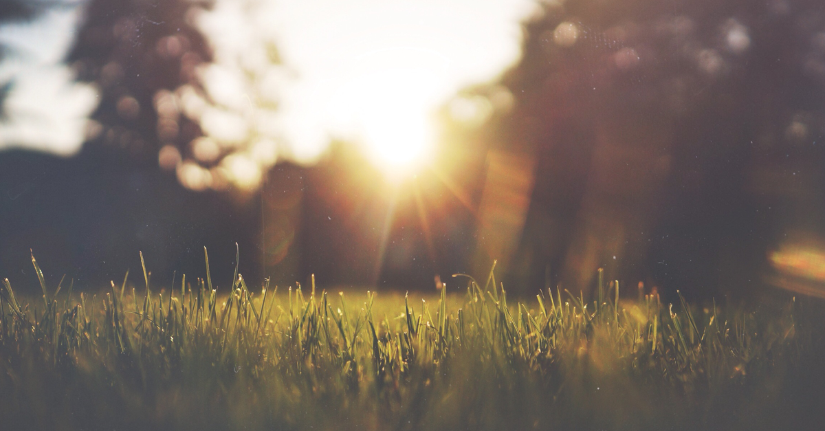 Blessing As A Way Of Life