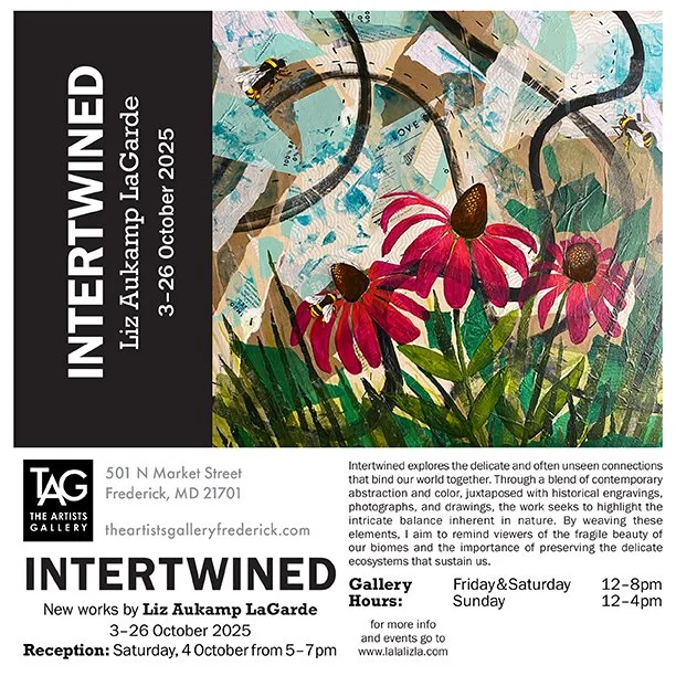 Today is the first day of my featured show 'Intertwined' at The Artists' Gallery in Frederick! I'm so excited to see this new body of work hanging together in one space. Hope you can come out to see it too!