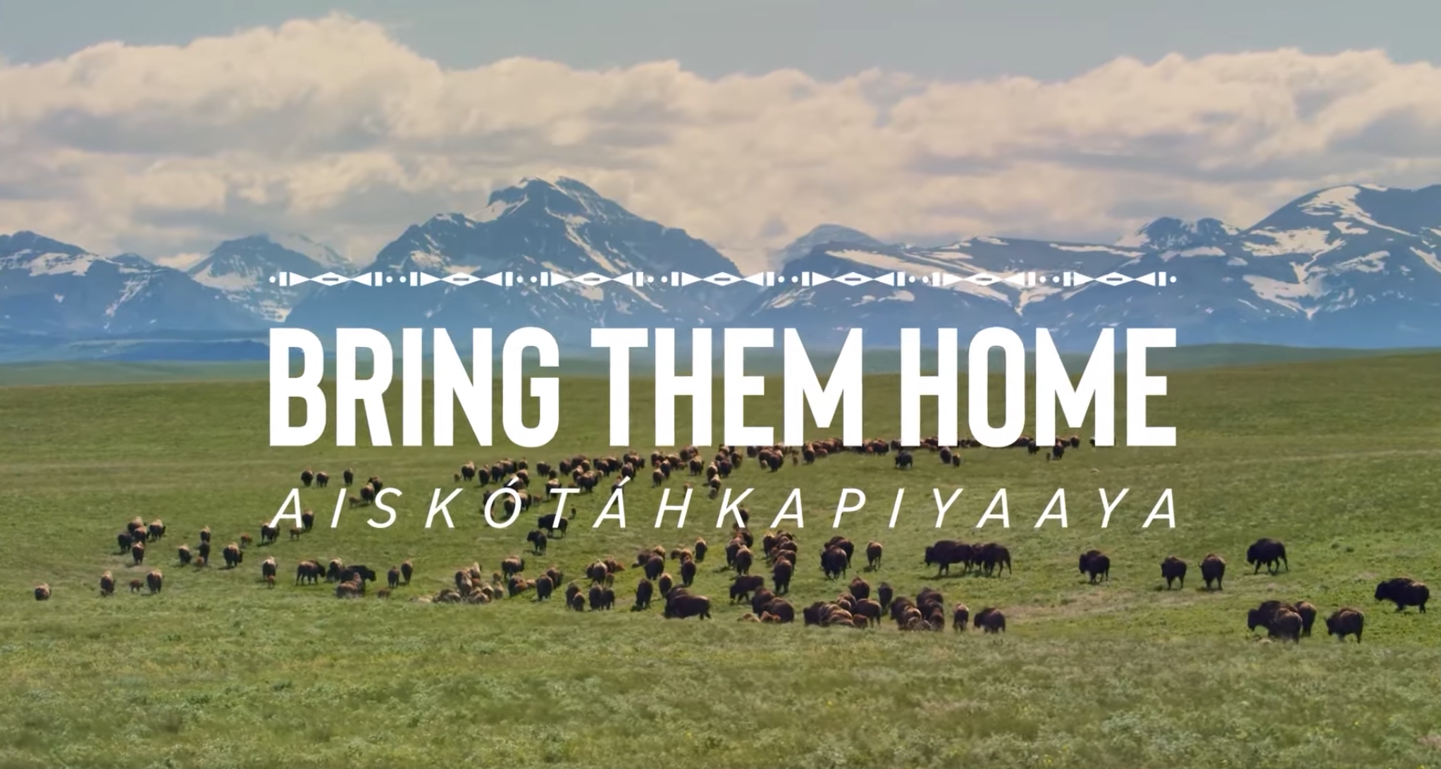 BRING THEM HOME / Aiskótáhkapiyaaya Trailer