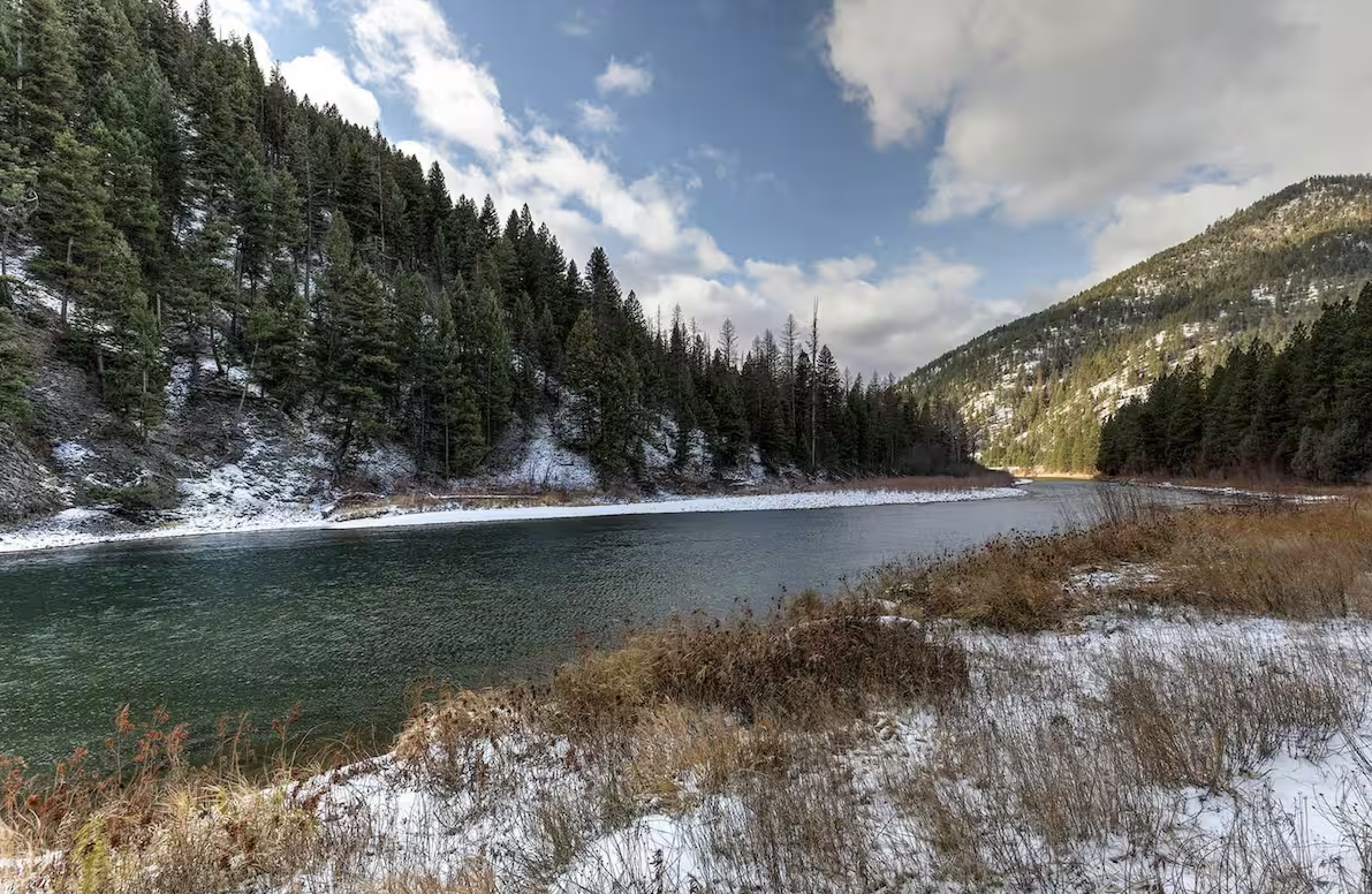 Screenshot 2025-12-08 at 12.17.11 PM.png