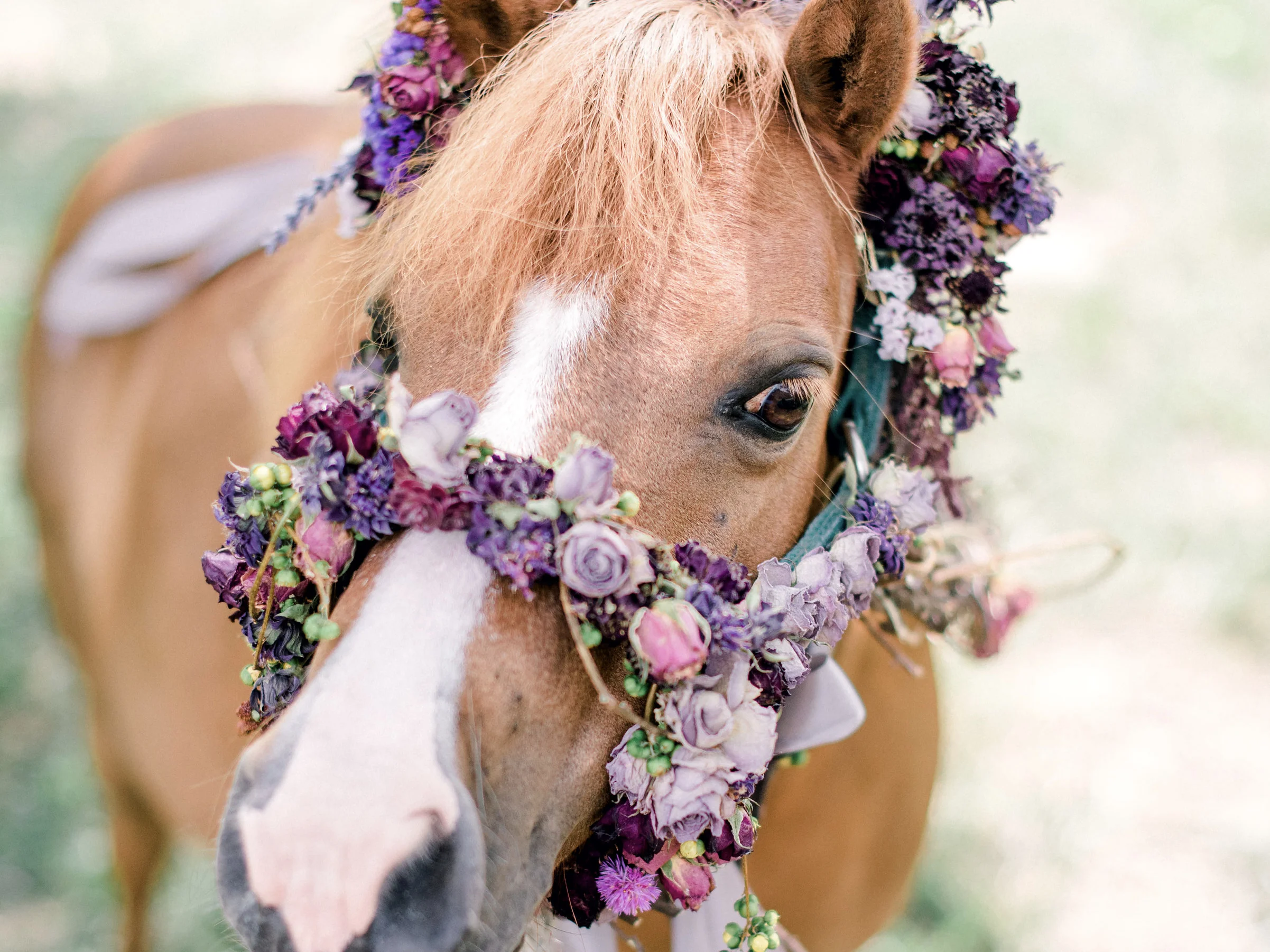 WildsStyledShoot-54.jpg