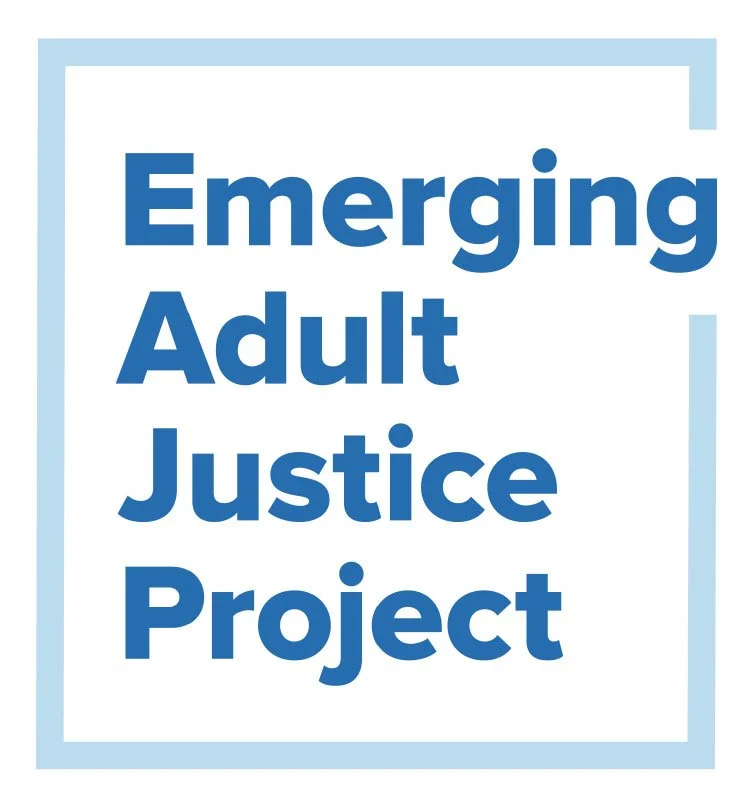Brief Overview: Emerging Adult Justice Developmental Framework Innovation Sites