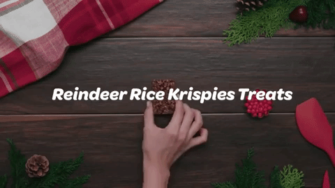 CT_RiceKrisp_Reindeer_01.gif