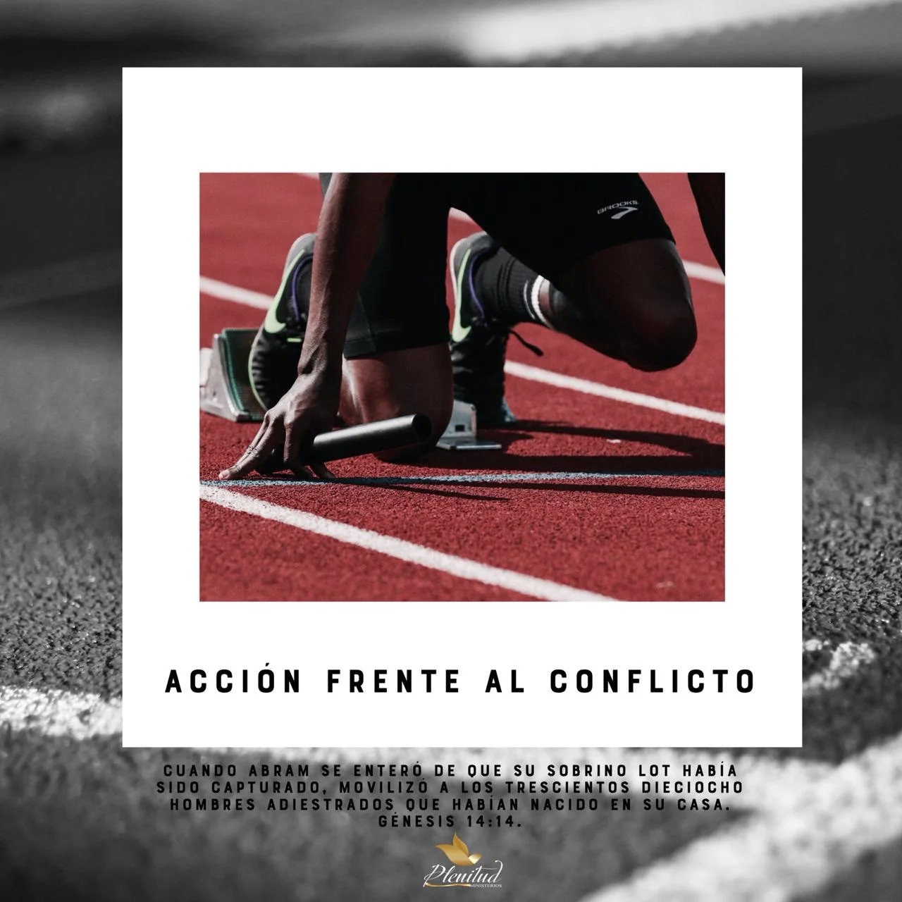 Accion frente al conflicto
