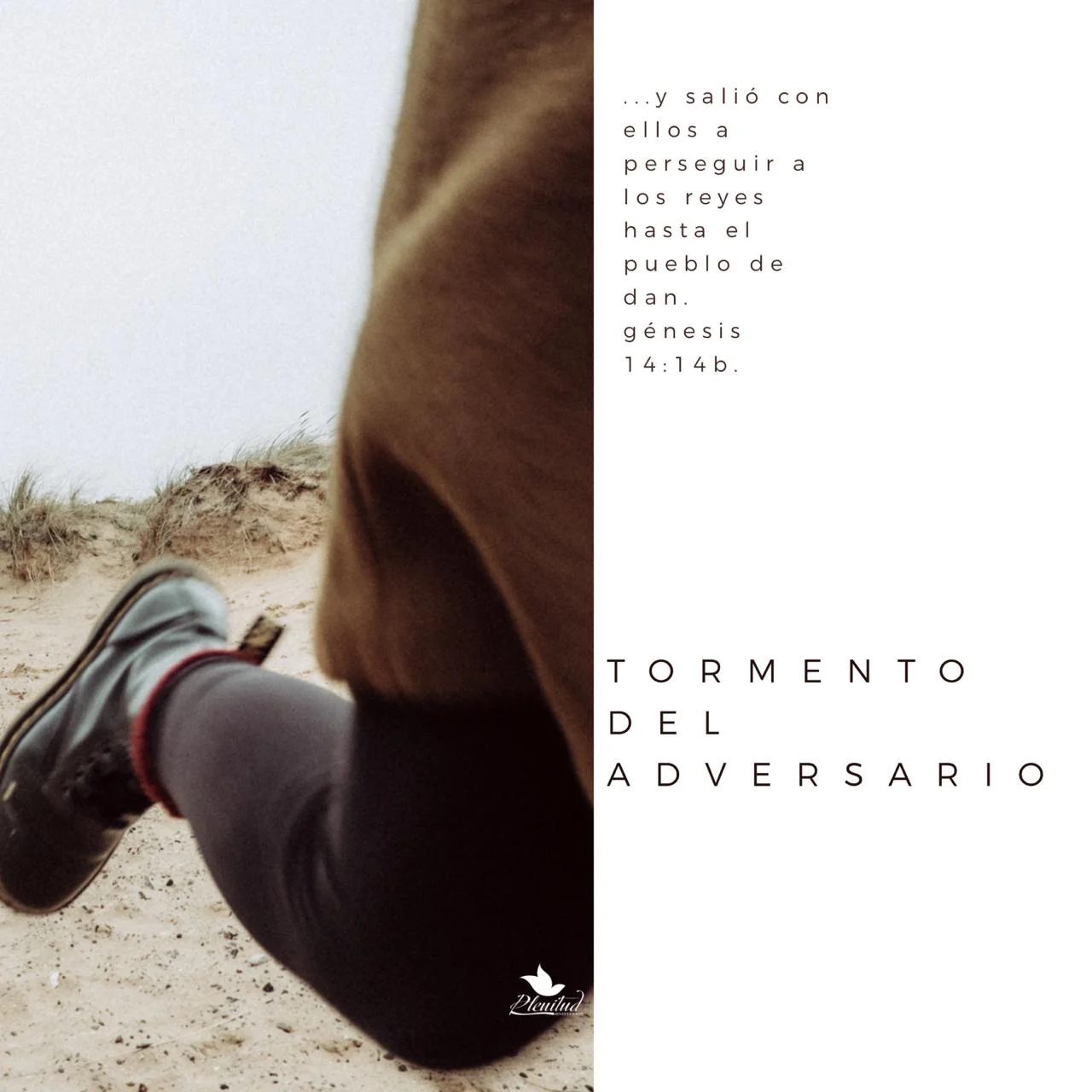 Tormento del adversario