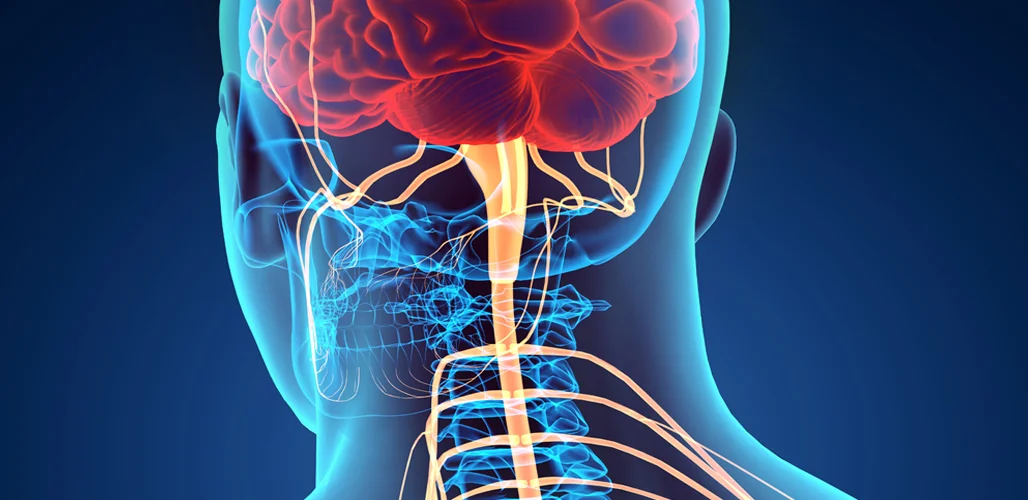 PG-12-CentralPain_1028x500.jpeg