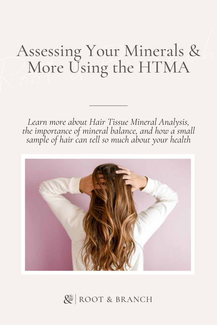 Assessing Your Minerals & More Using the HTMA | Root & Branch Nutrition