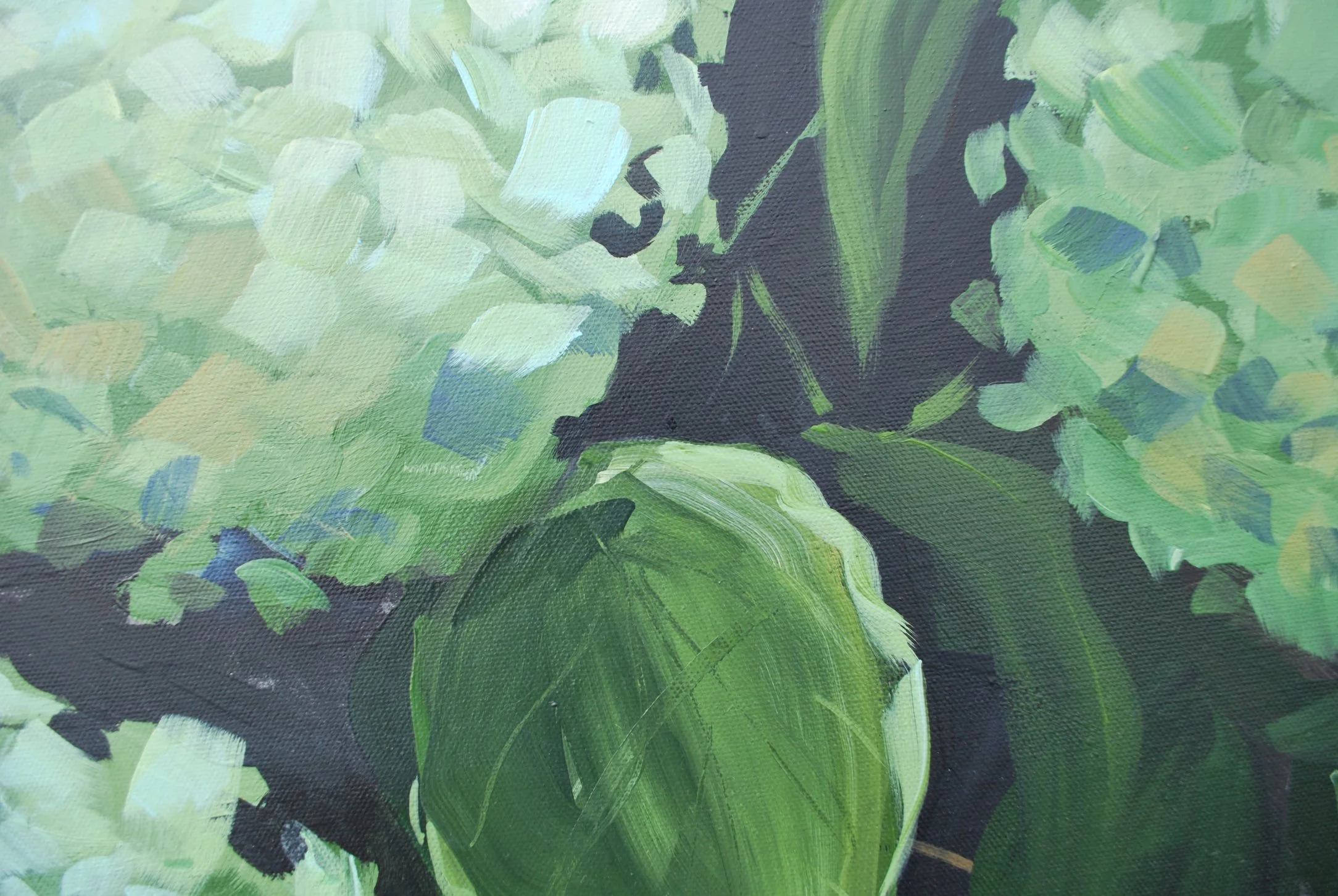 Green Hydrangeas Up Close for Web.jpg