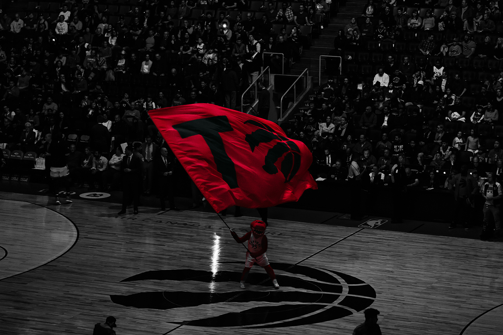 Raps-1 v.jpg