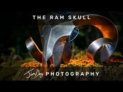 Ram Skull Welded Metal Sculpture by Joshua De Lisle - Still Life Photography