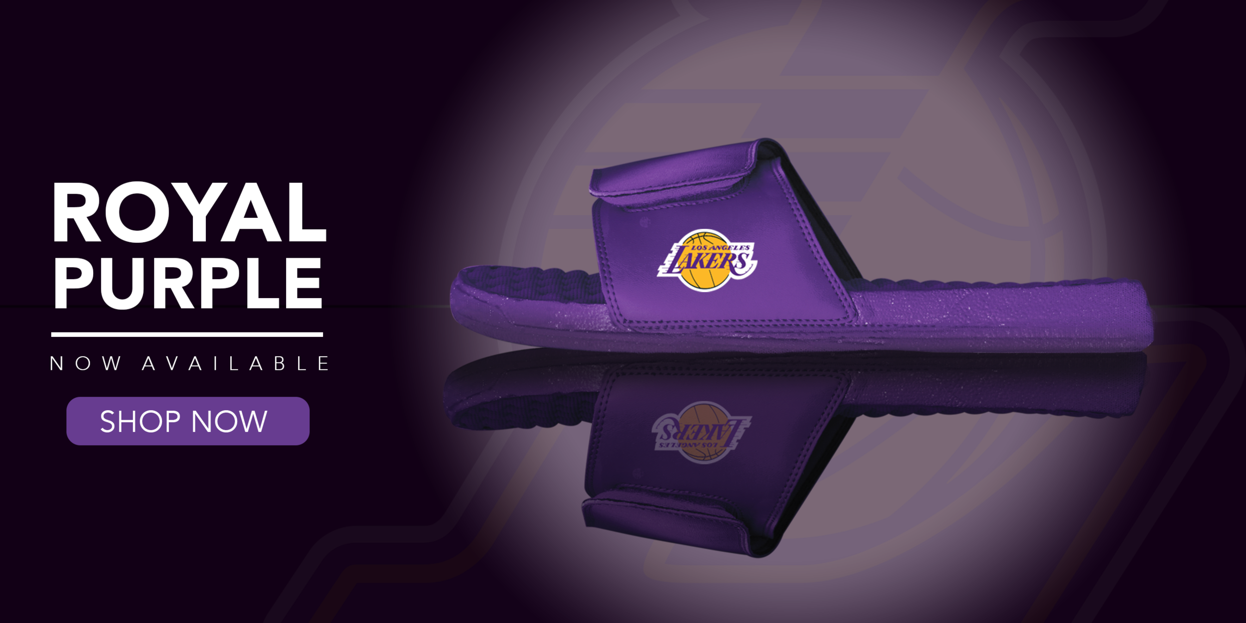 purple lakers reflection banner.png