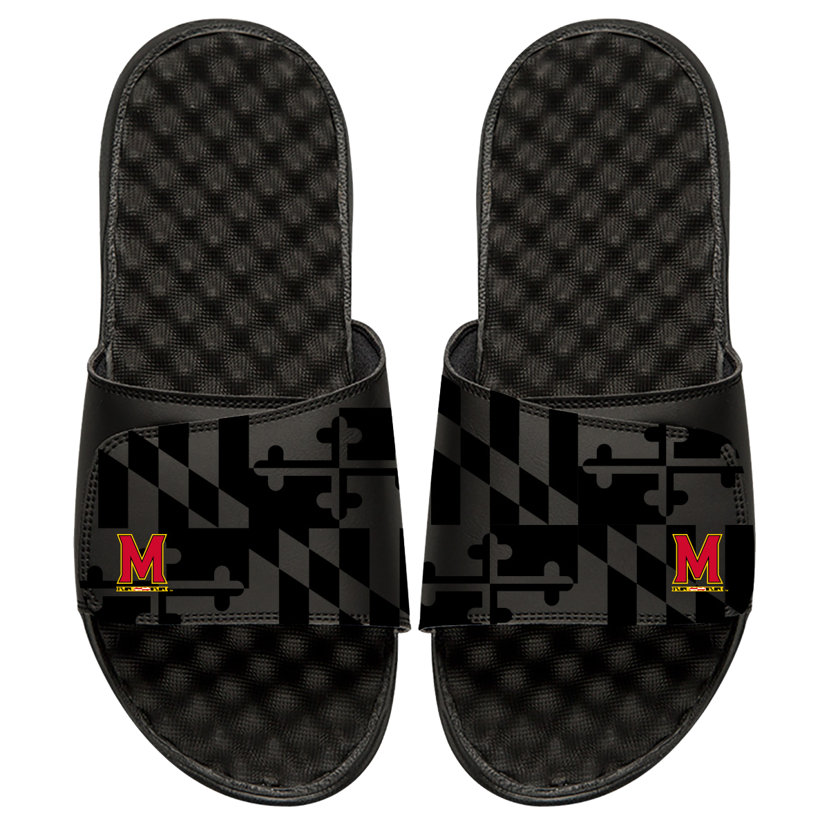 maryland tonal with a pop.png